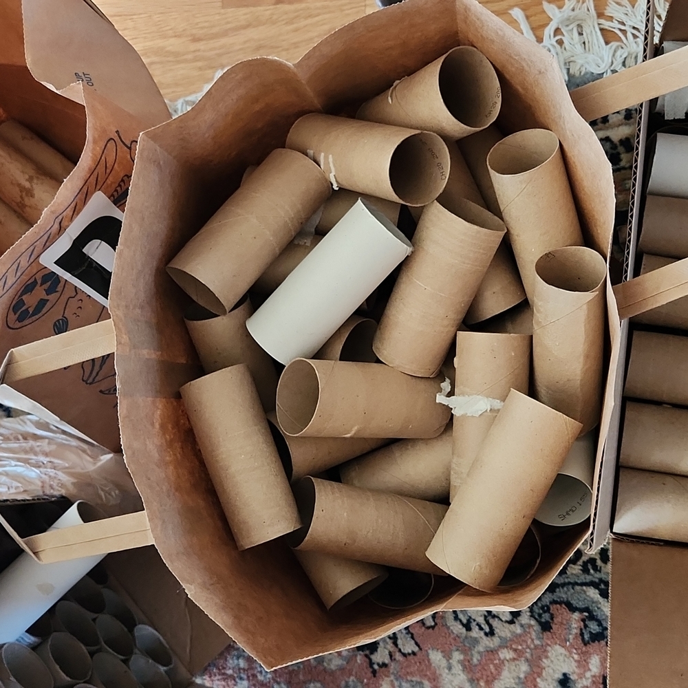 50 empty toilet paper rolls